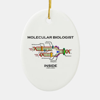 Molekularbiologe-Innere (DNS-Reproduktion) Keramik Ornament