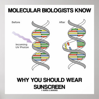 Molekularbiologen wissen, warum man Sonnenschutzmi Poster