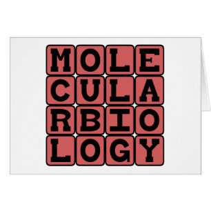 Molekularbiologie, Zweig der Biologie