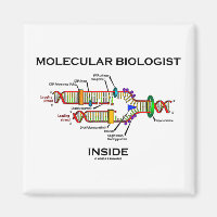 Molekularbiologin Inside (DNA-Replikation)