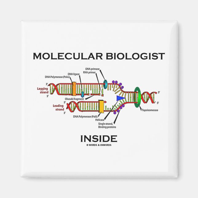 Molekularbiologin Inside (DNA-Replikation) Magnet (Vorne)