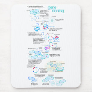 Molekulares Klonen unter Verwendung der Bakterien Mousepad