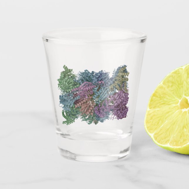 Molekülillustration Schnapsglas (Vorderseite)