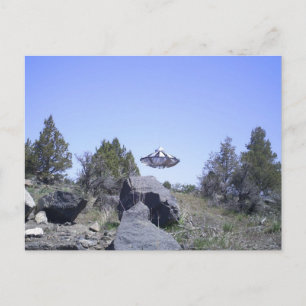 Molkerei, Oregon UFO Postkarte