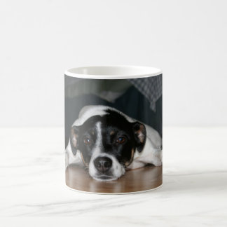 "Molli" Ratten-TerrierhundTasse Tasse