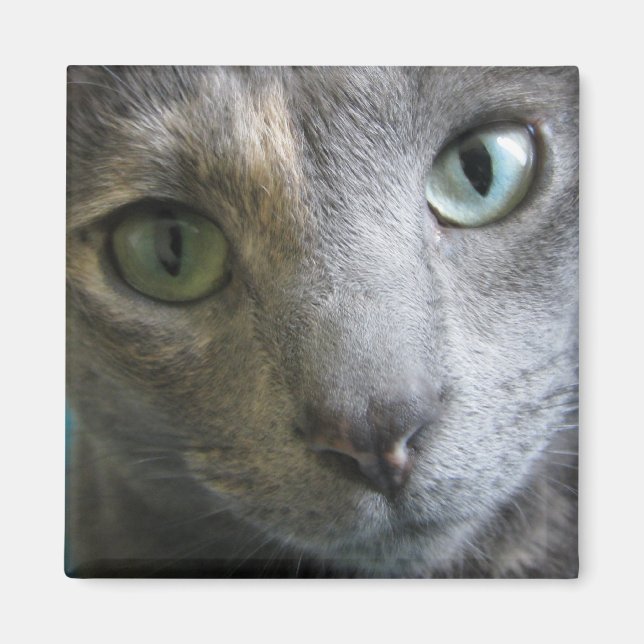 Mollie Magnet (Vorne)