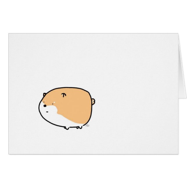 Molliges Shiba (Vorderseite (Horizontal))