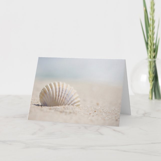 Mollusk Seashell Karte (Vorderseite)
