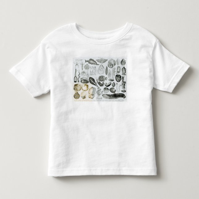 Mollusken Kleinkind T-shirt (Vorderseite)