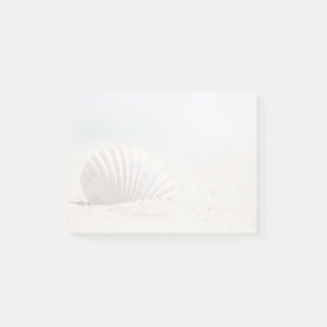 Mollusken-Seashell Post-it Klebezettel (Vorderseite)
