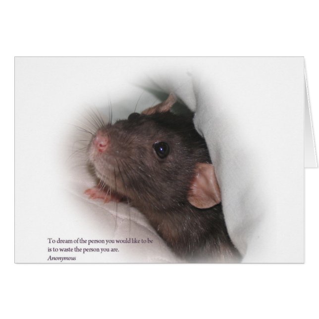 Molly1mit (Vorderseite (Horizontal))