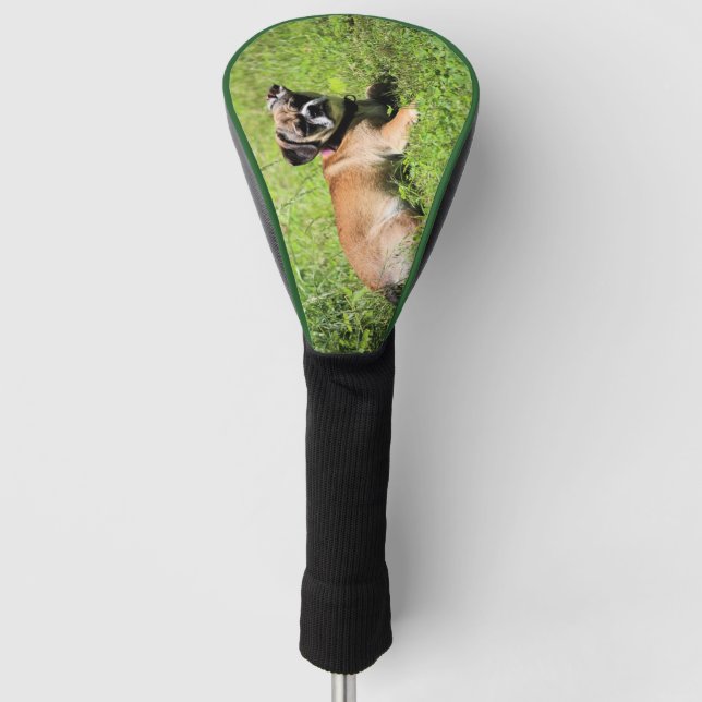 Molly Golf Headcover (Vorderseite)