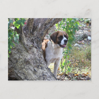 Molly " Jemand sagt PLAYTIME" Postkarte