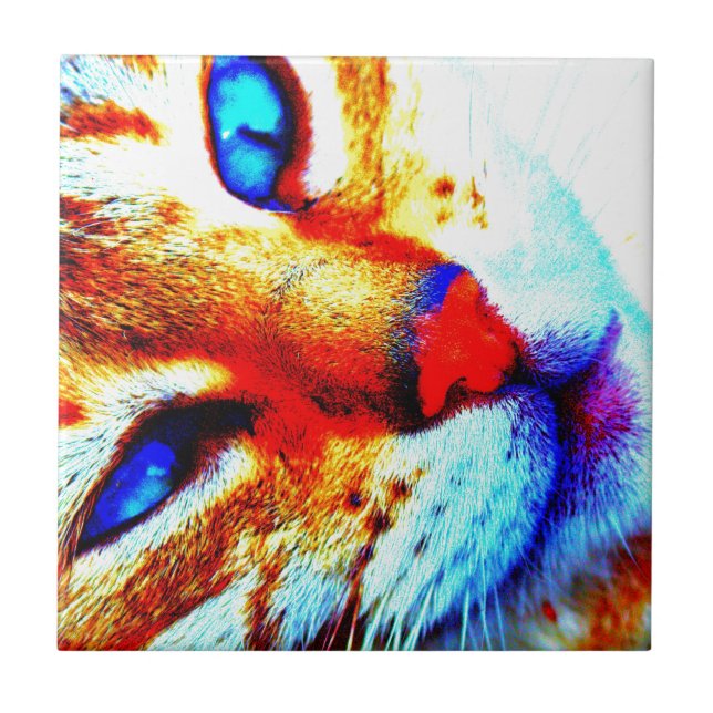 Molly-Katze Fliese (Vorderseite)