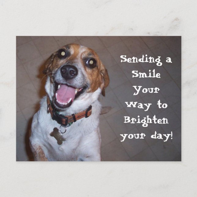 Molly lächelt! postkarte (Vorderseite)