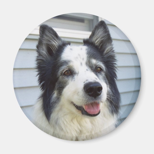 Molly Magnet (Vorne)