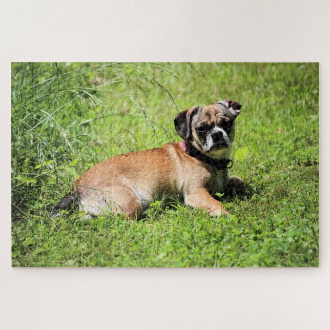 Molly Puzzle (Horizontal)