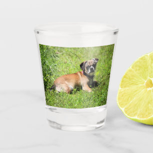 Molly Schnapsglas