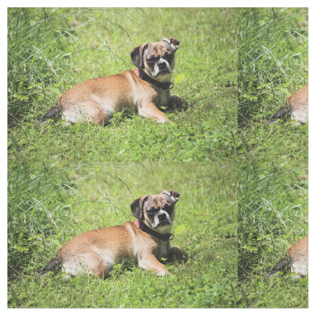 Molly Stoff (Nahaufnahme)