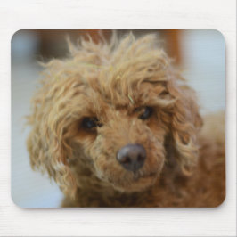 Molly the Poodle Mouse Pad Mousepad