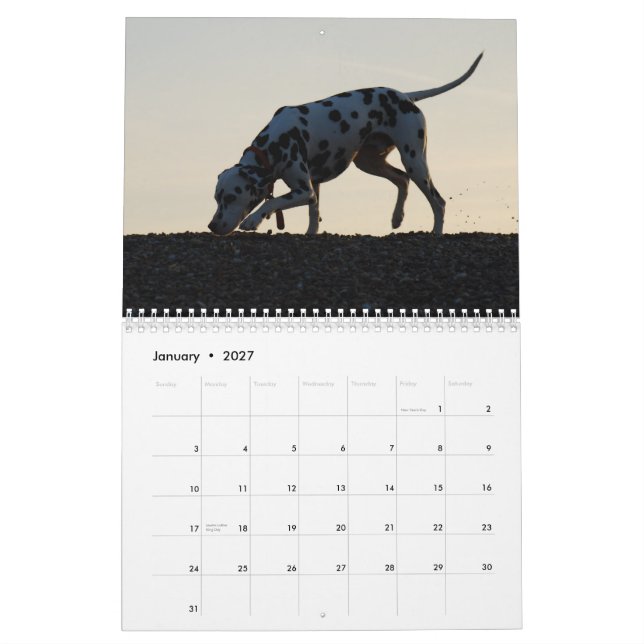 molo 2010 kalender (Jan 2027)