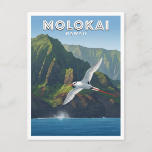 Molokai Nordküste Klippen Kaunakakai Hawaii Postkarte