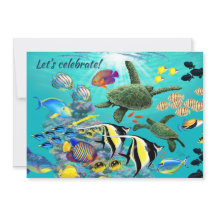 Molokini Cove Hawaiian Tropical Fish Sea Turtle