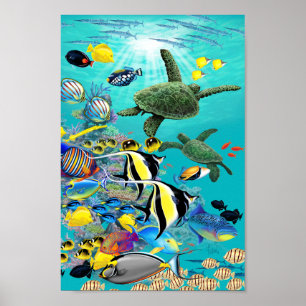 Molokini Cove Hawaiian Tropischer Fisch und Sea Tu Poster