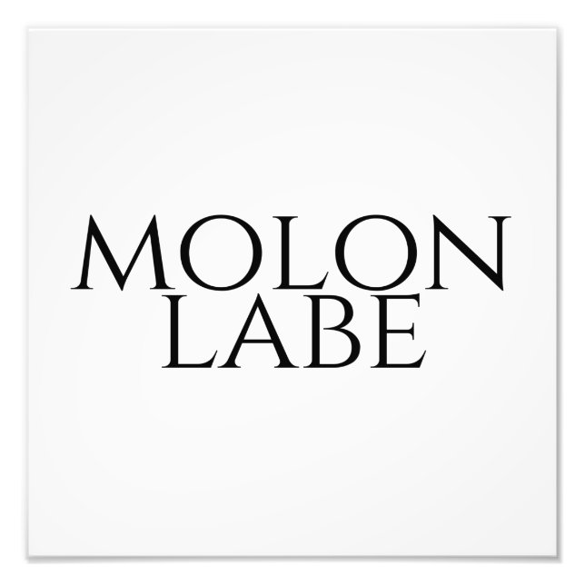 Molon Labe Fotodruck (Vorne)