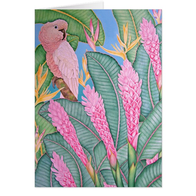 Moluccan Cockatoo (Vorne)