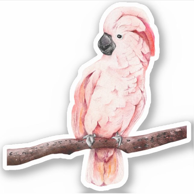 Moluccan Cockatoo Custom-Cut Vinyl Sticker (Vorderseite)