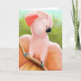 Moluccan Cockatoo Grußkarte Karte