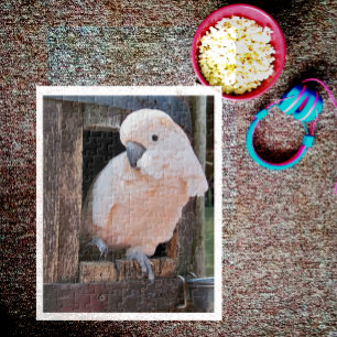 Moluccan Cockatoo Puzzle