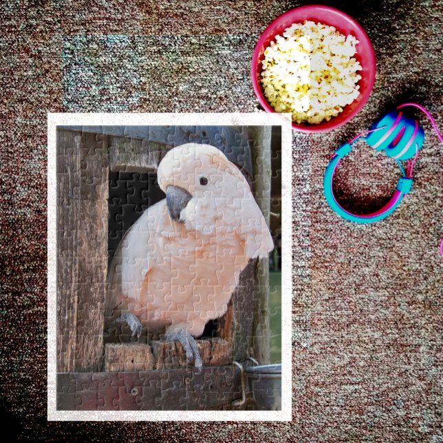 Moluccan Cockatoo Puzzle (Von Creator hochgeladen)