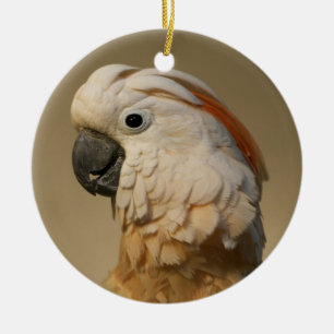 Moluccan Cockatoo-Verzierung Keramikornament