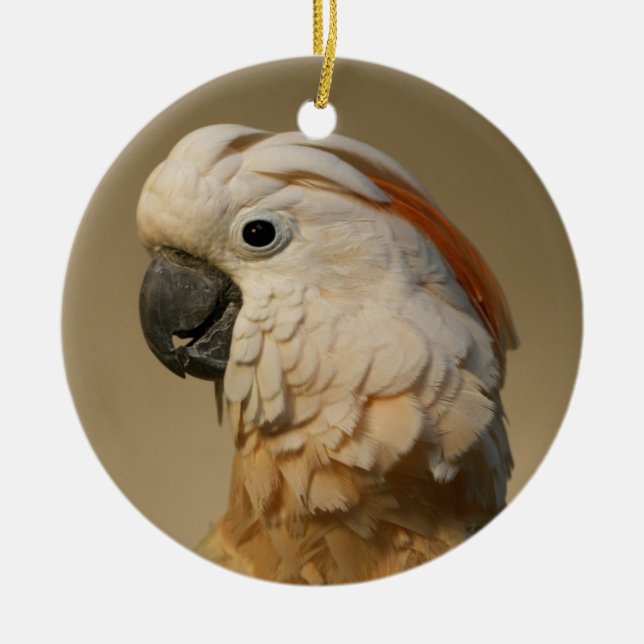 Moluccan Cockatoo-Verzierung Keramikornament (Vorne)