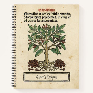 Molukken-Nelken-Mittelalterliche Botanische Rezept Notizbuch