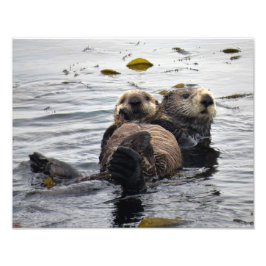 Mom and Pup Sea Otter Fotodruck