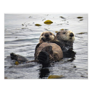Mom and Pup Sea Otter Fotodruck