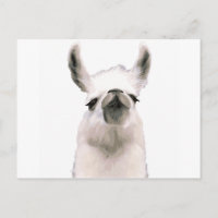 Moma Llama