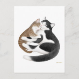 Momcat Postcard Postkarte