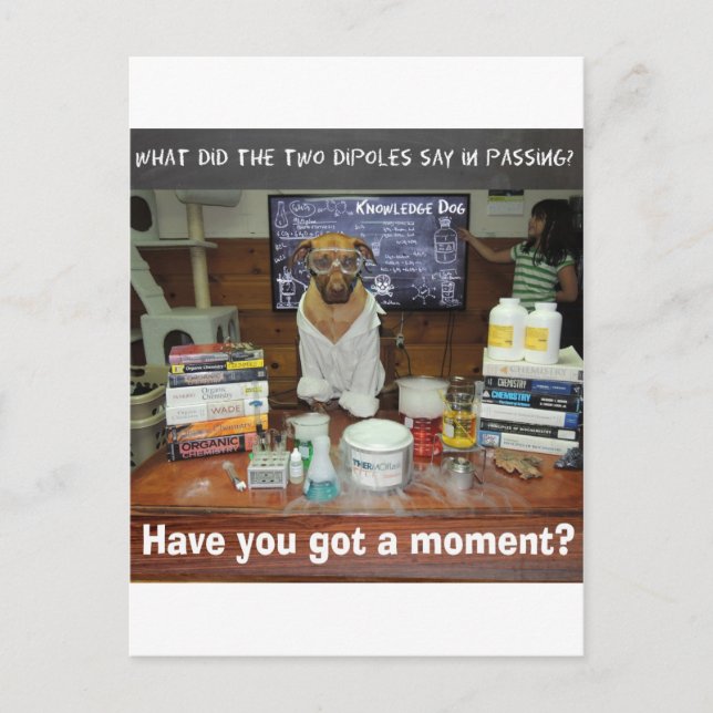 Moment des Wissensdocks Postkarte (Vorderseite)