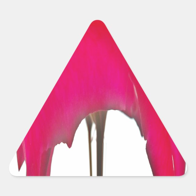 Moment erobert: Eine Rote Rose Petal Elegance Dreieckiger Aufkleber (Vorderseite)