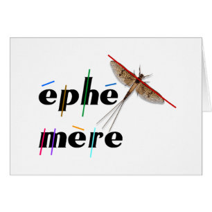 momentane Ephemere
