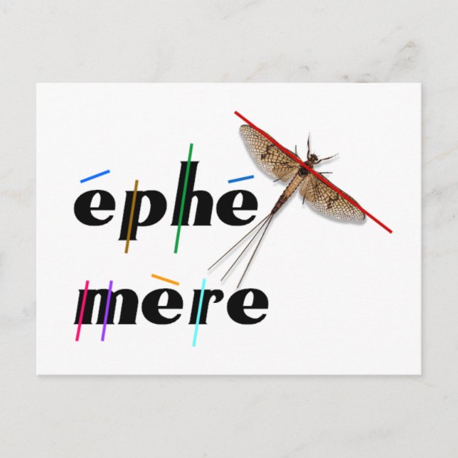 momentane Ephemere Postkarte (Vorderseite)