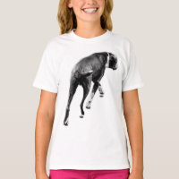 Momentum Break - einfarbige Canine