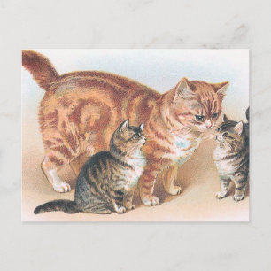 "Momma Cat" Vintag Postkarte