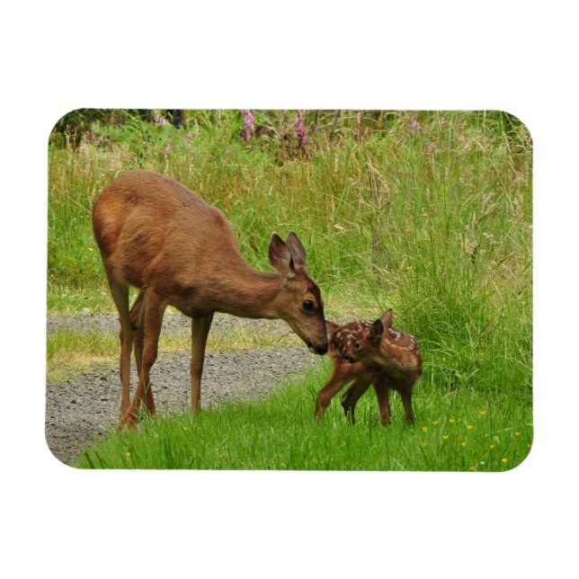 Momma Deer und ihr neugeborener Vater Magnet (Horizontal)