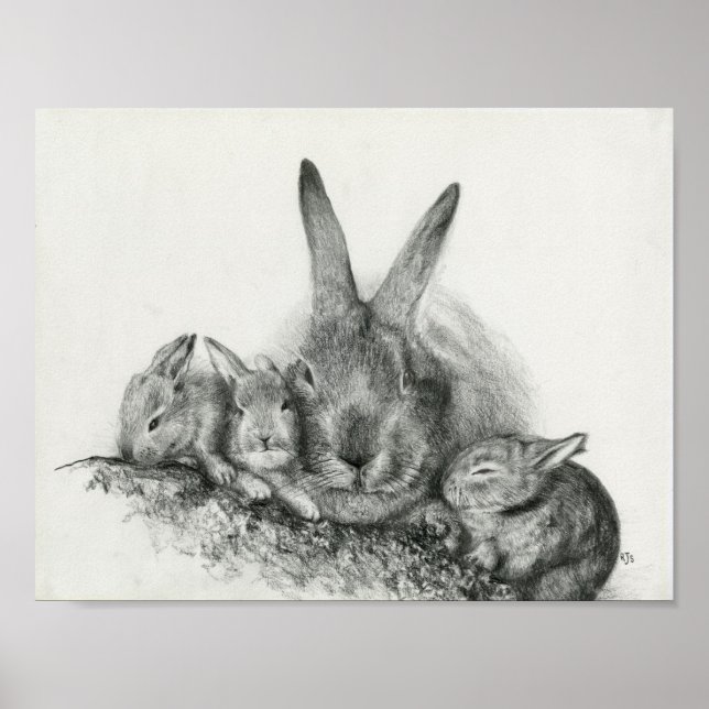 Momma Kaninchen mit Bunnies Pencil Zeichnend Poster (Vorne)