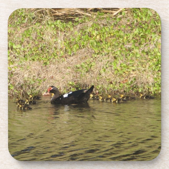 Momma Muscovy and Baby Ducks Cork Untersetzer (Vorderseite)